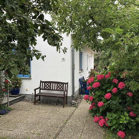 Ferienwohnung Mit Garten Wieck Eksteriør bilde
